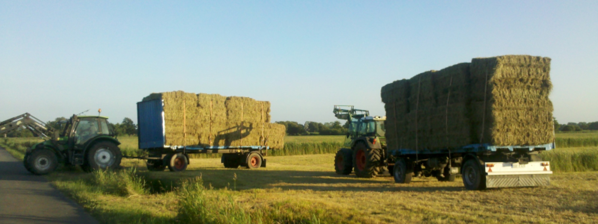 Heuballen und Stroh für Landwirte, Haustierhalter und Tierzüchter